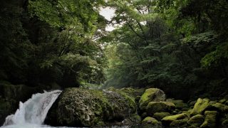 【歳時記】菊池市 菊池渓谷（2021年 夏） | 株式会社 山田青果卸売市場